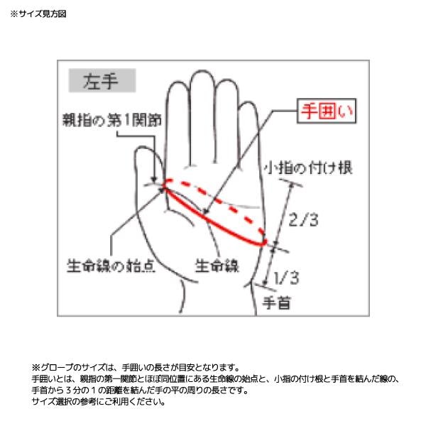 2526 MIZUNO Leather 3Finger Gloves / Z2JYC502