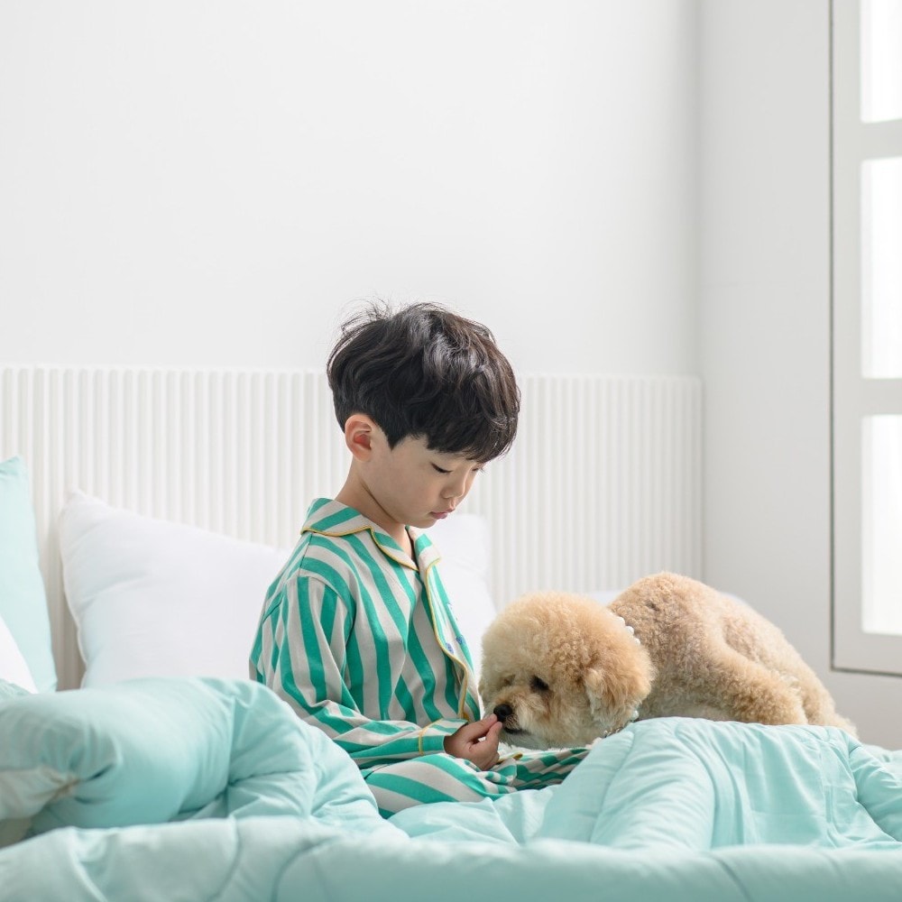 모드 M2 마이크로모달 무소음 텐셀 옥수수솜 차렵이불 (SS/Q)