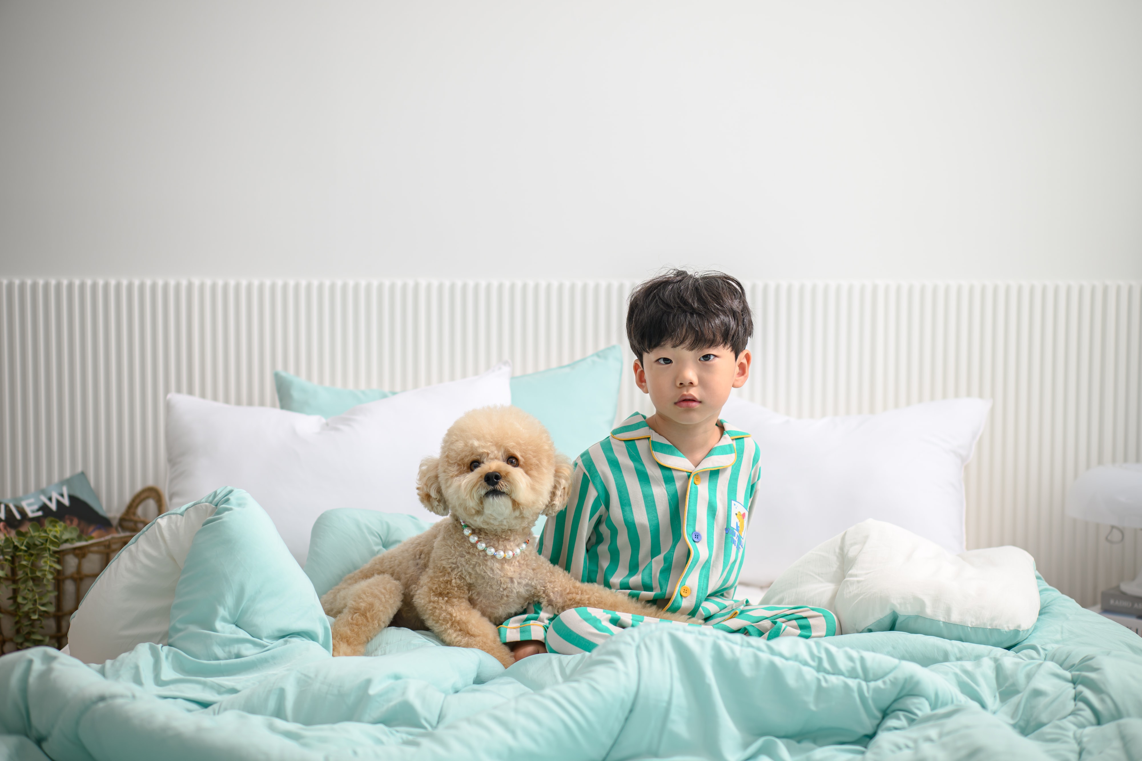 모드 M2 마이크로모달 무소음 텐셀 옥수수솜 차렵이불 (SS/Q)
