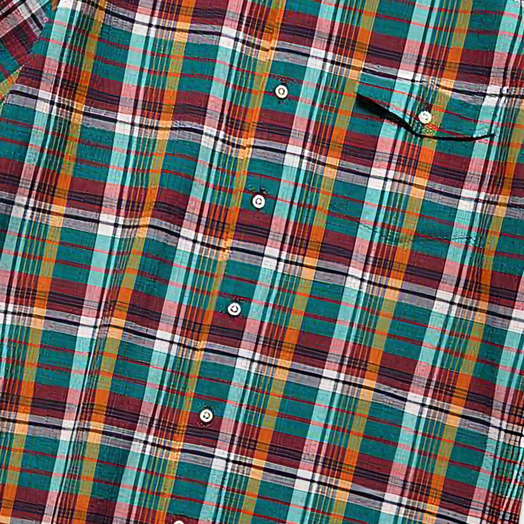 J.PRESS - INDIAN MADRAS CHECK HALF SLEEVE SHIRTS - Green