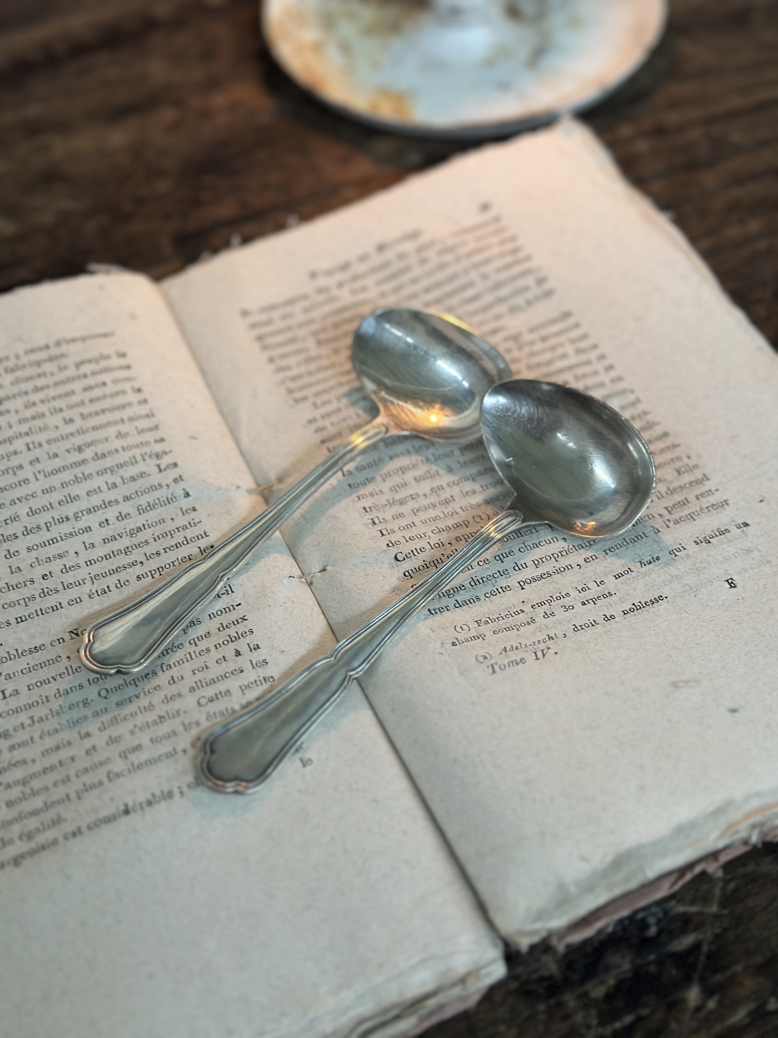 Vintage Silver-Plated Ladle 1p