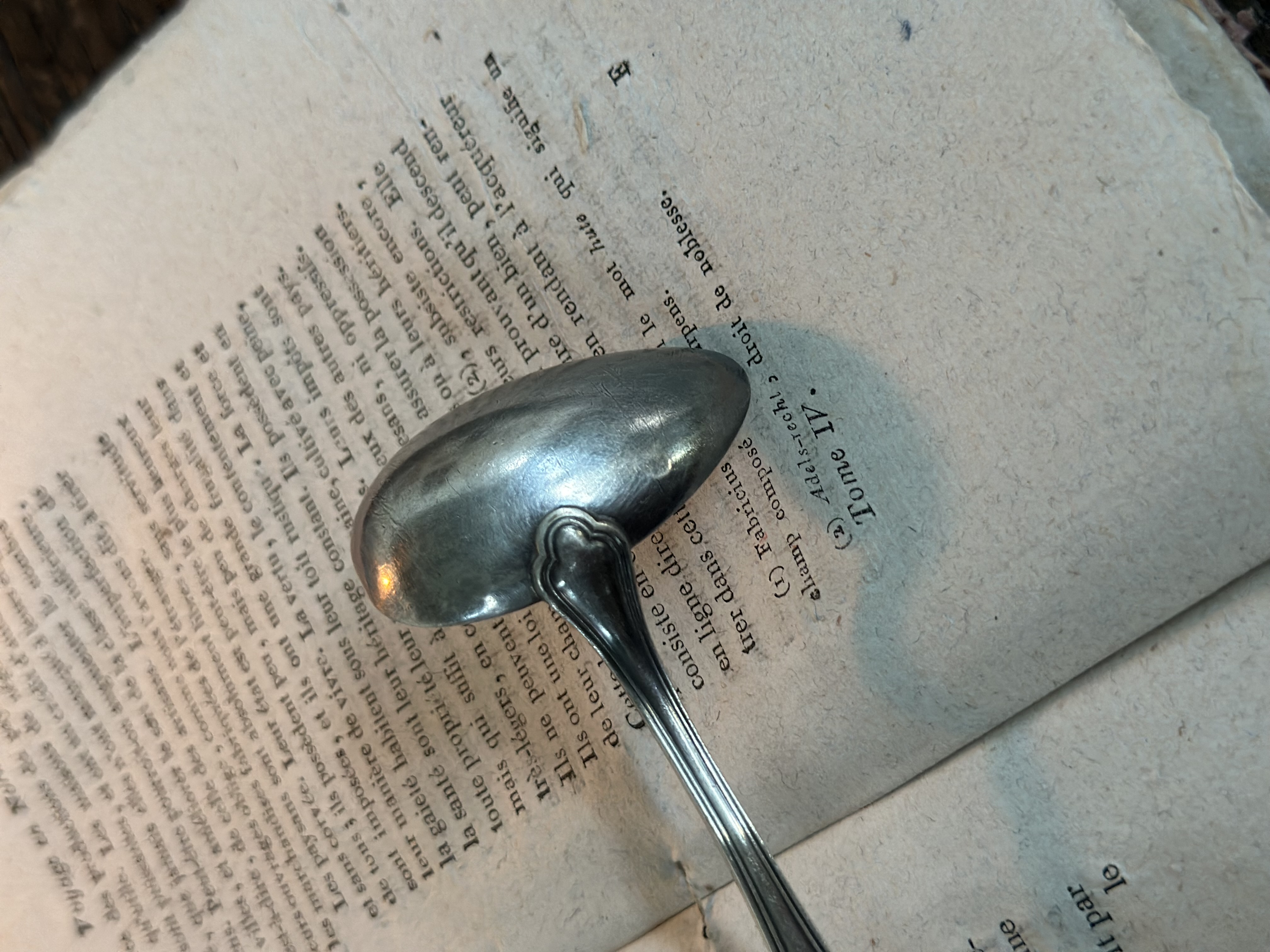 Vintage Silver-Plated Ladle 1p