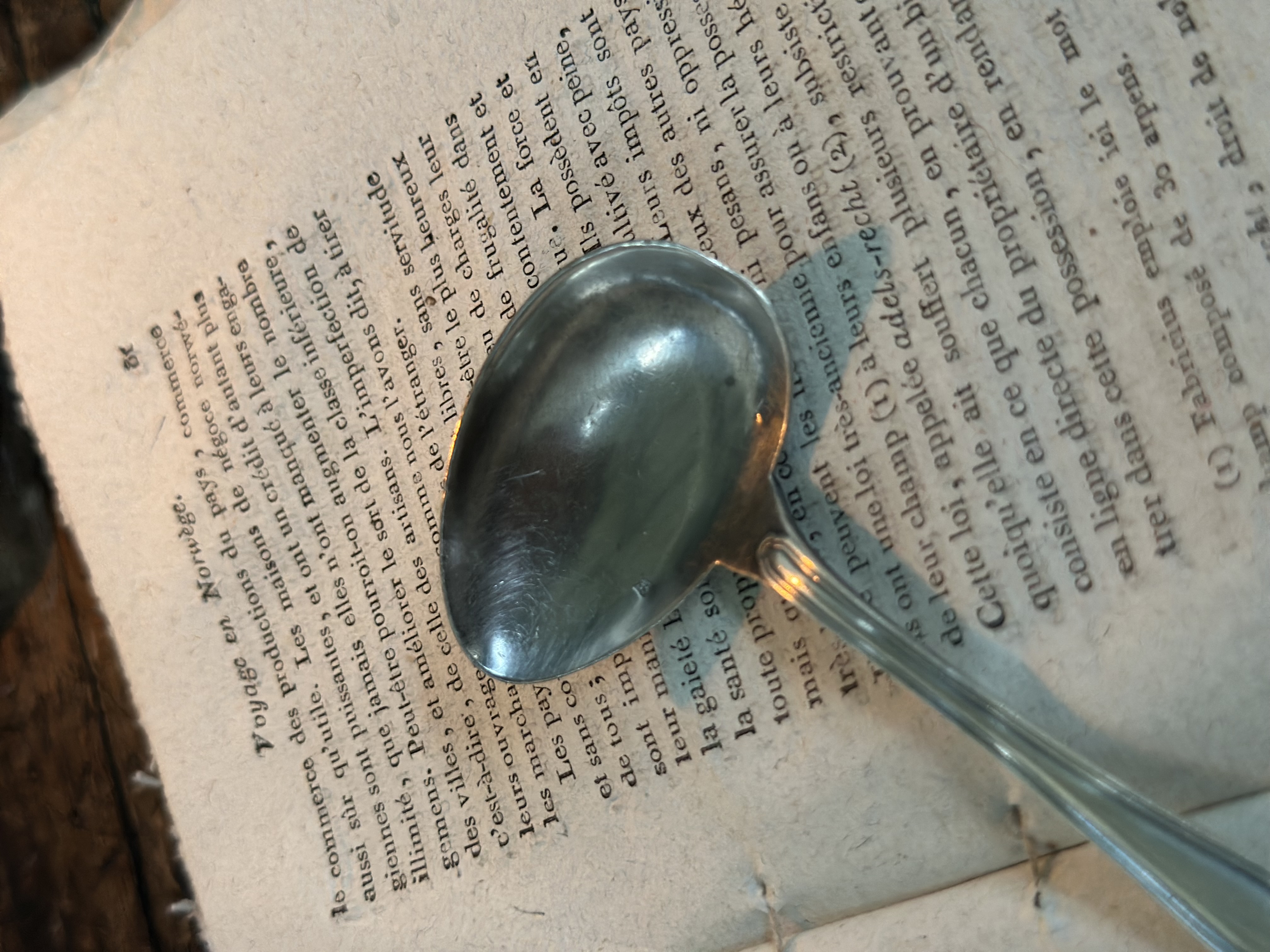 Vintage Silver-Plated Ladle 1p