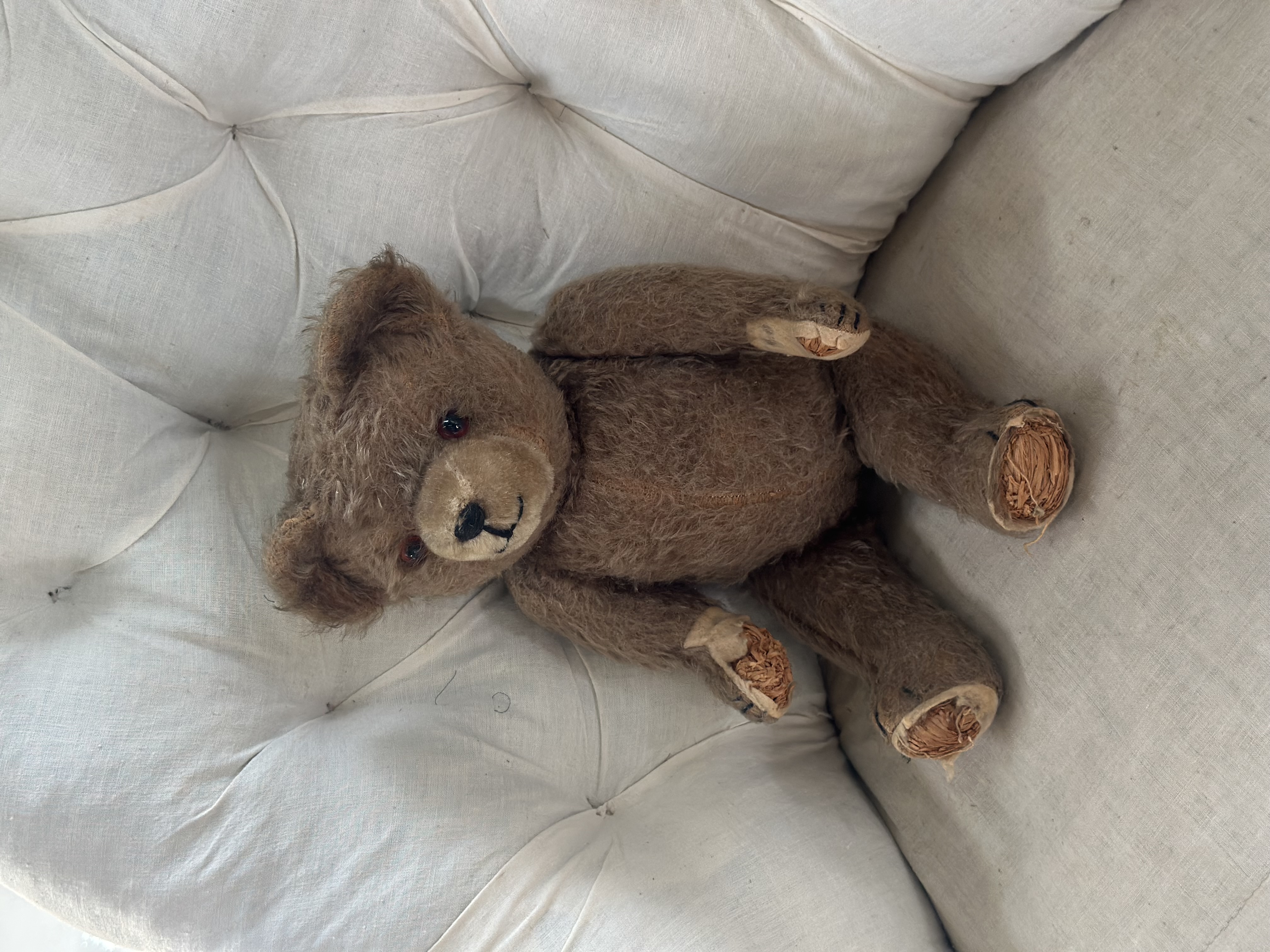 vintage teddy bear
