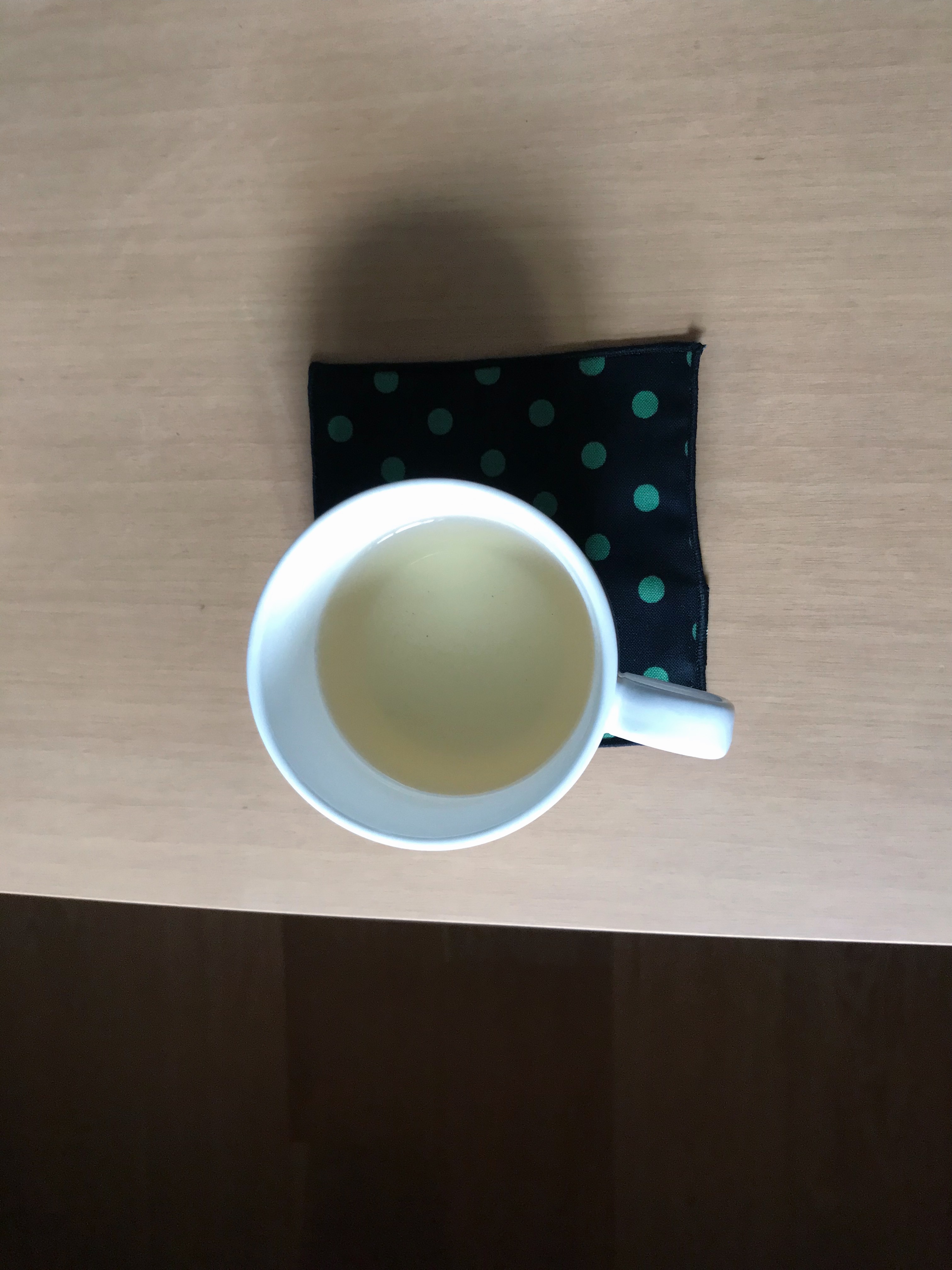 dot coaster