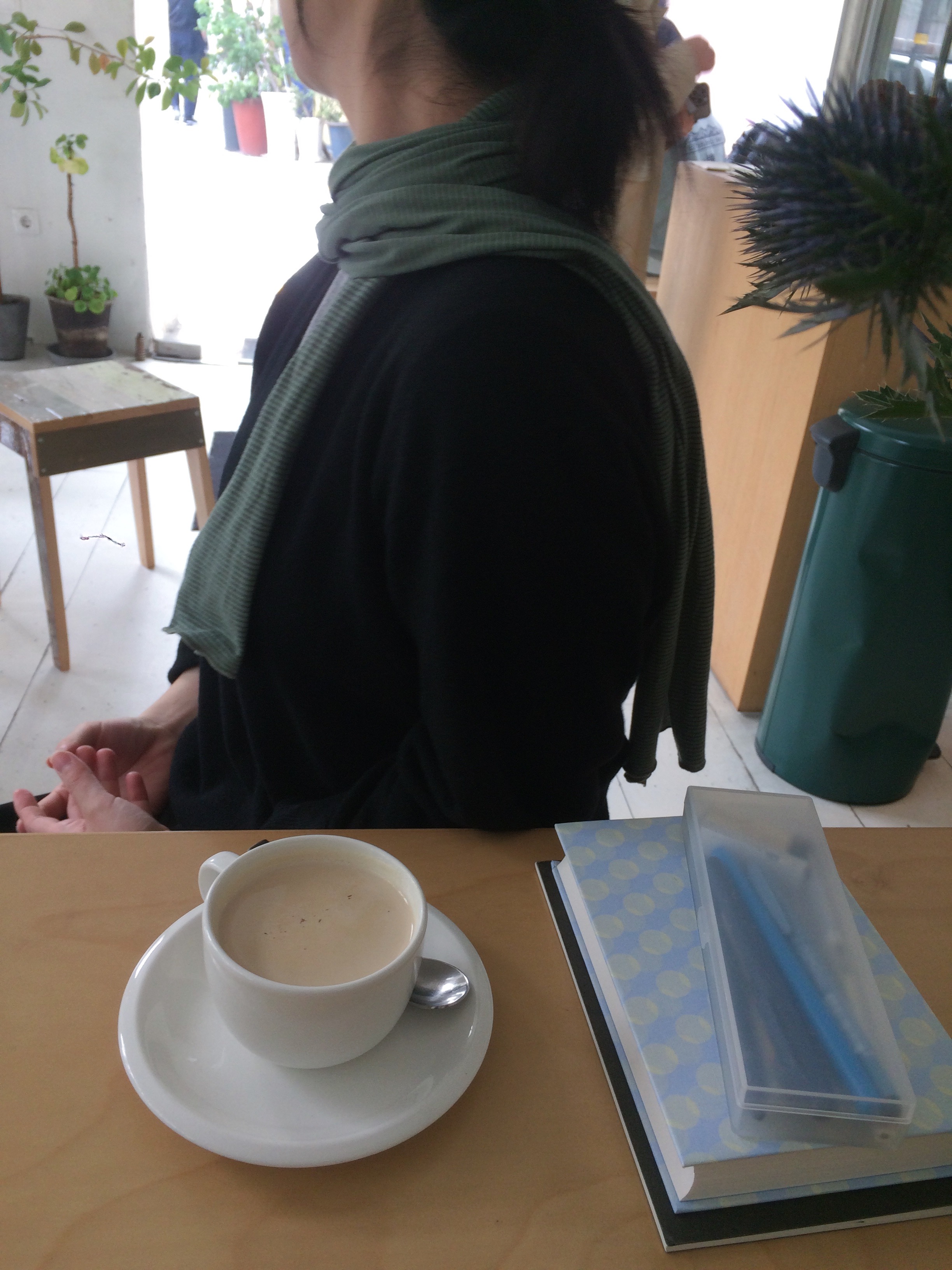 stripe scarf (3c)