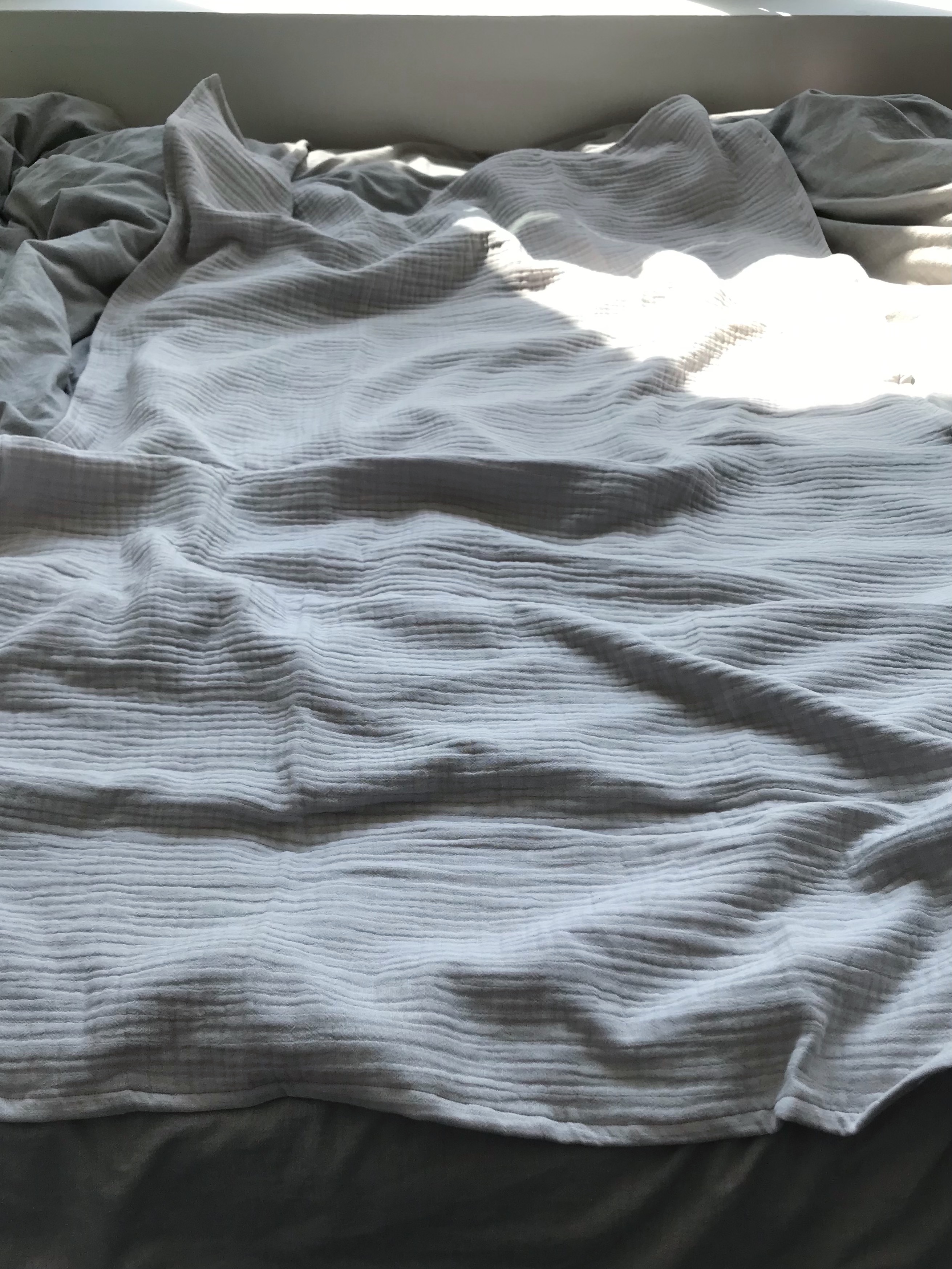 gray blanket