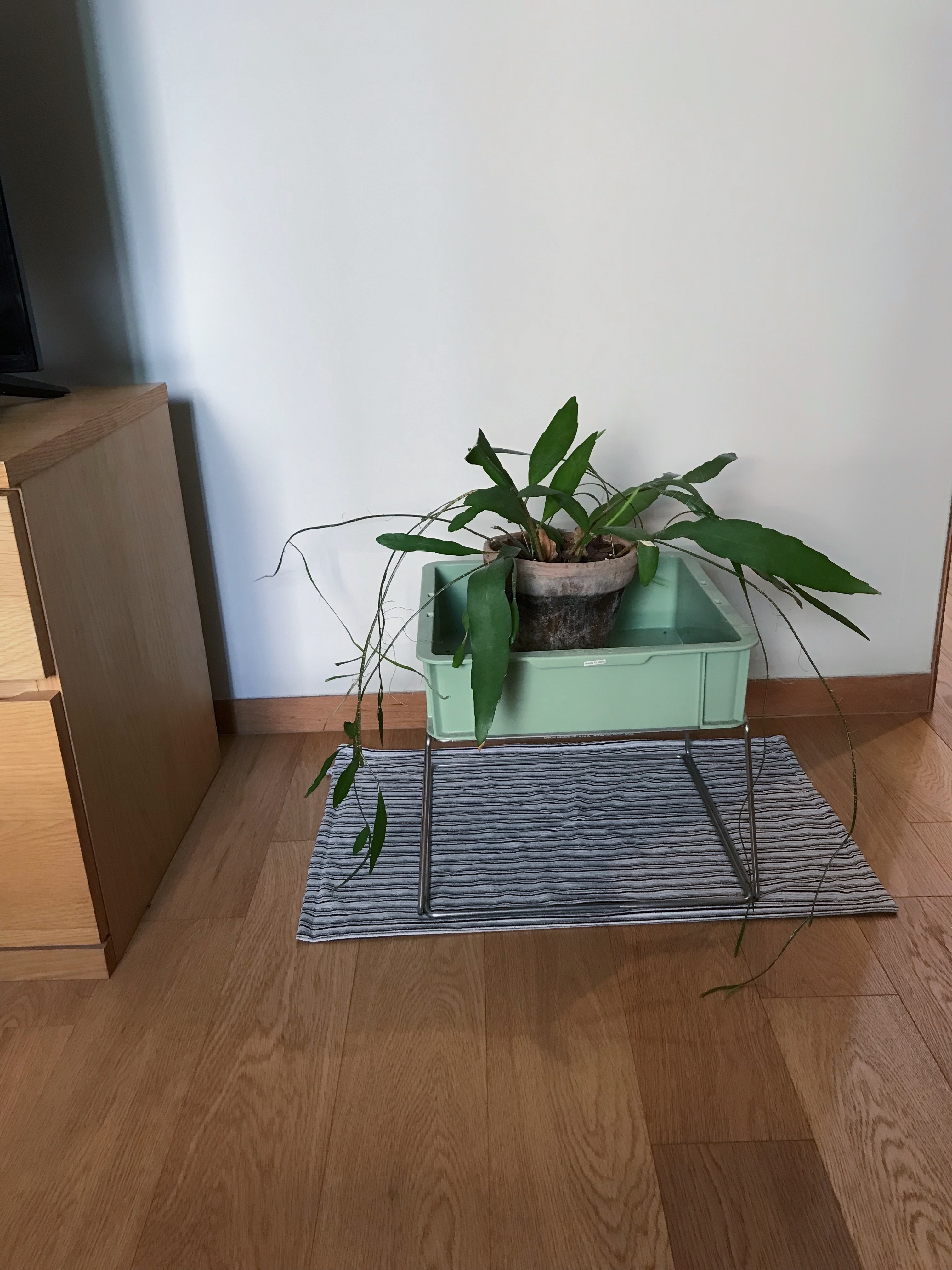 stripe mat