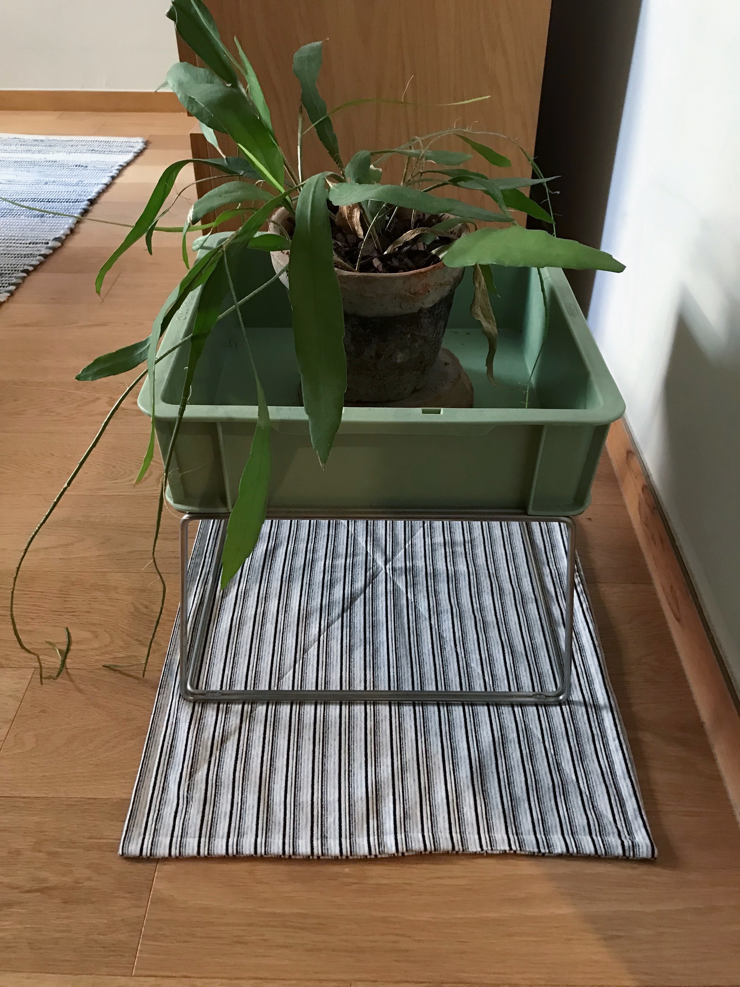 stripe mat