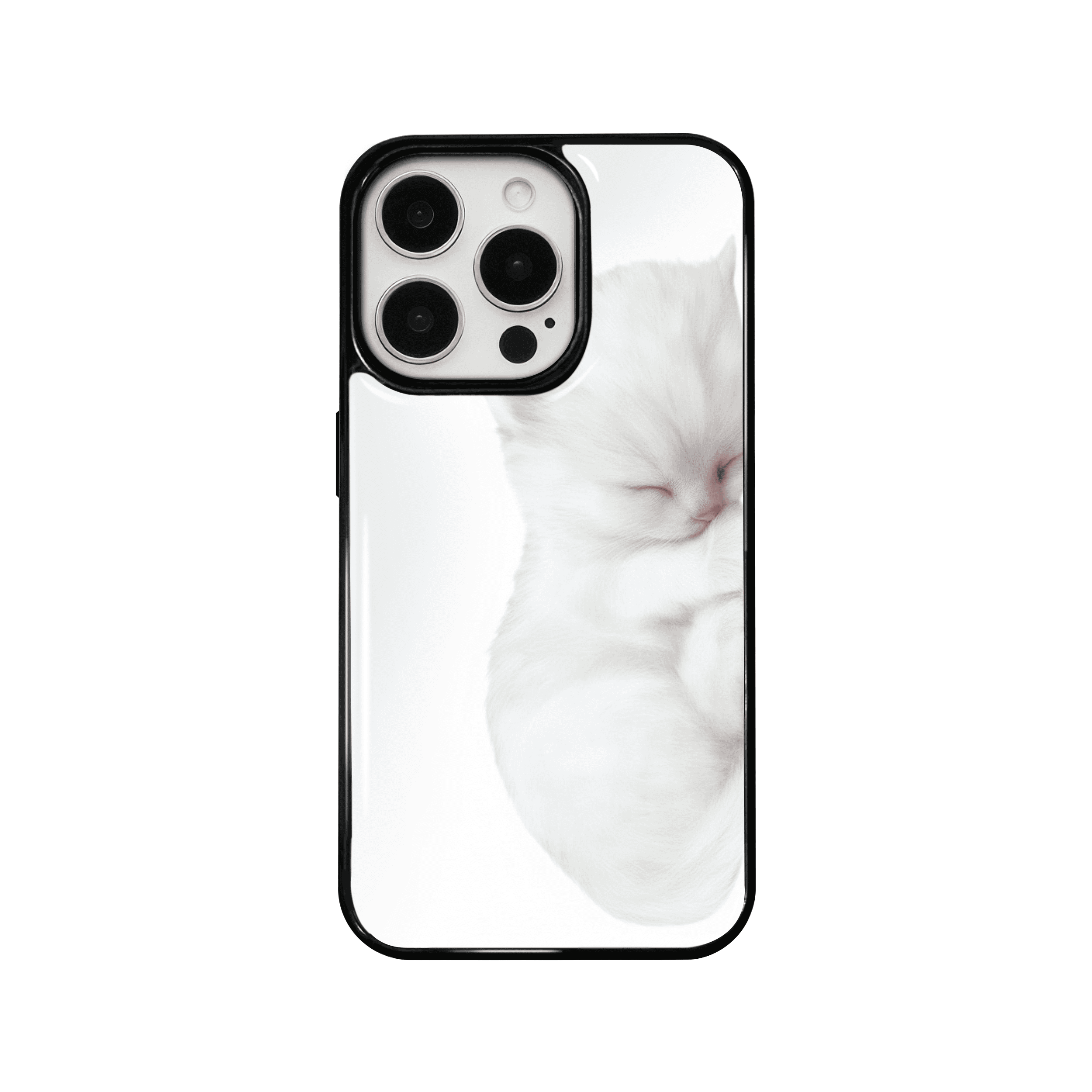 kitty