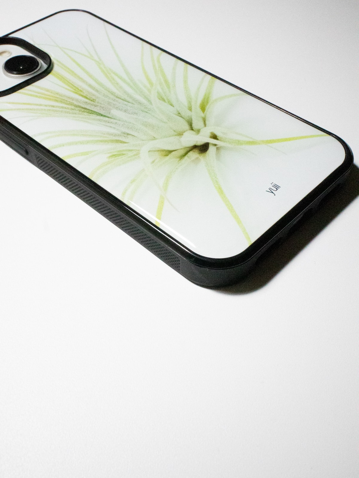 ionantha