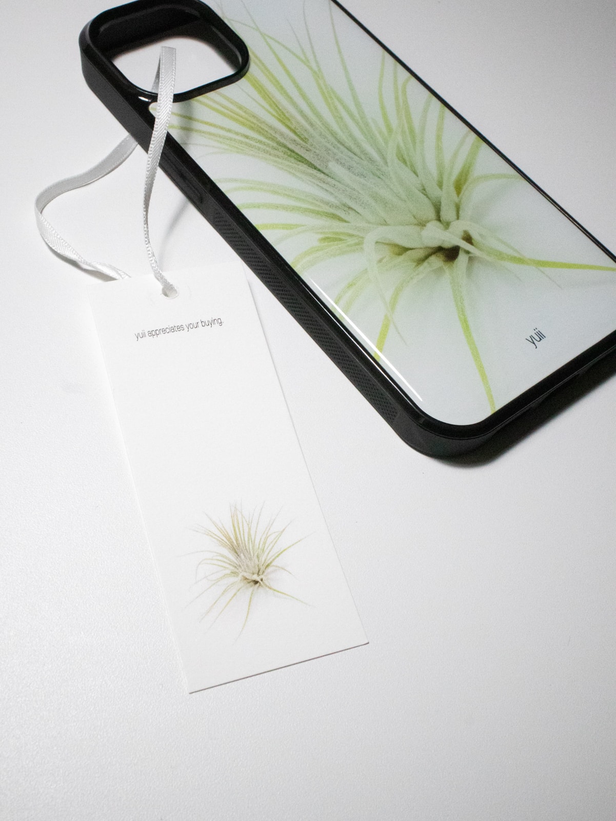 ionantha