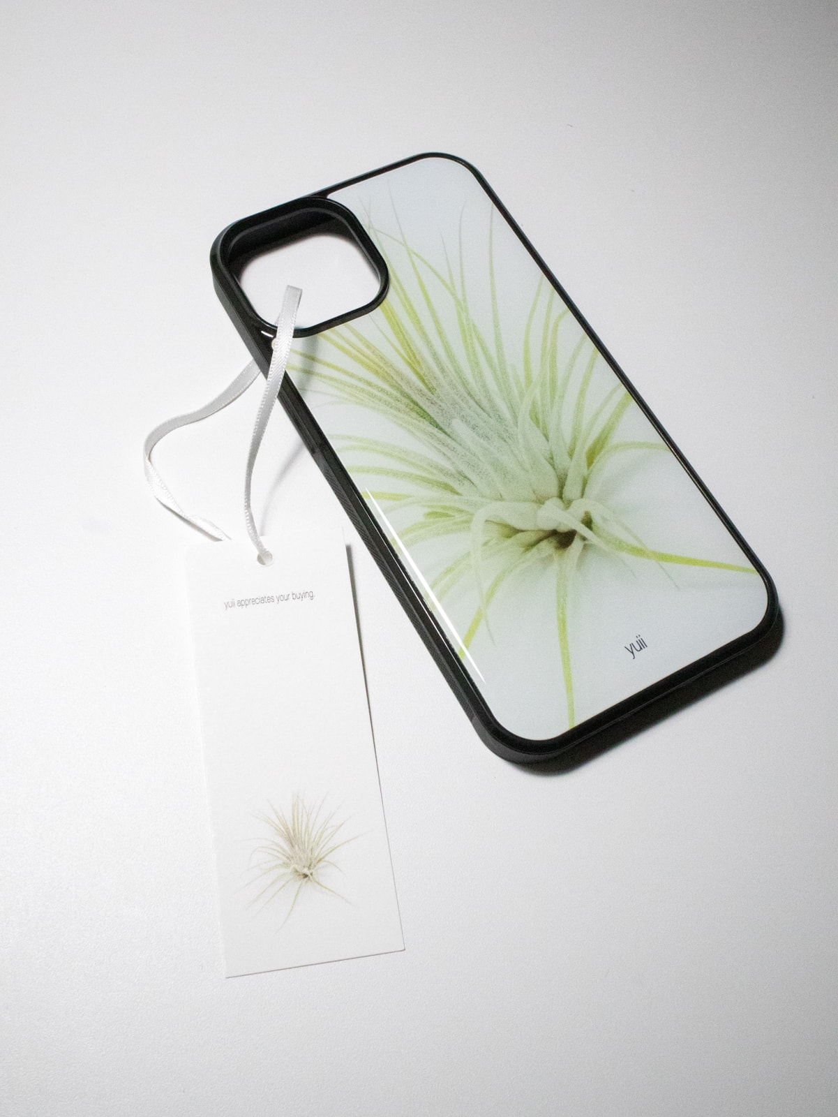 ionantha