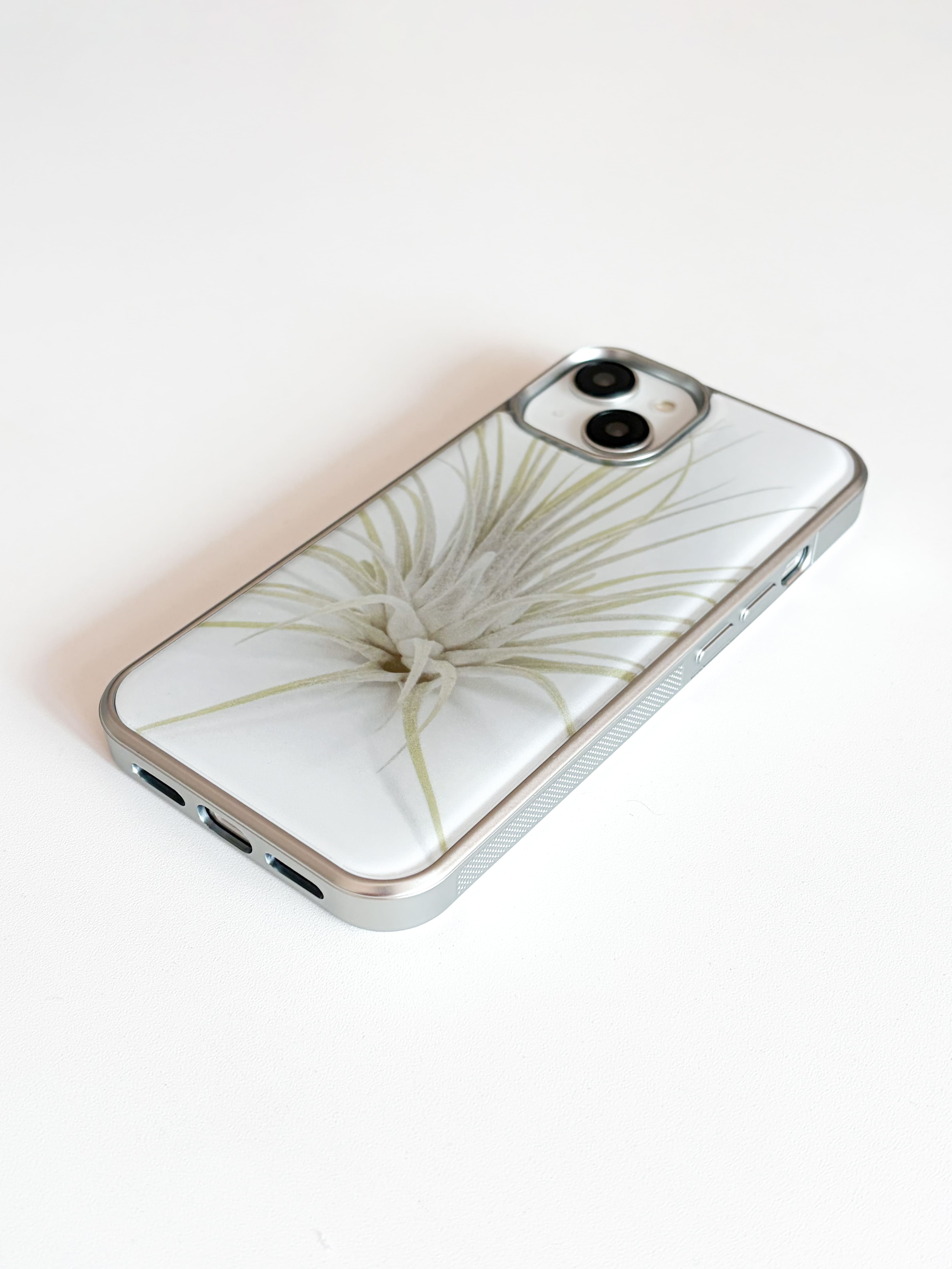 ionantha