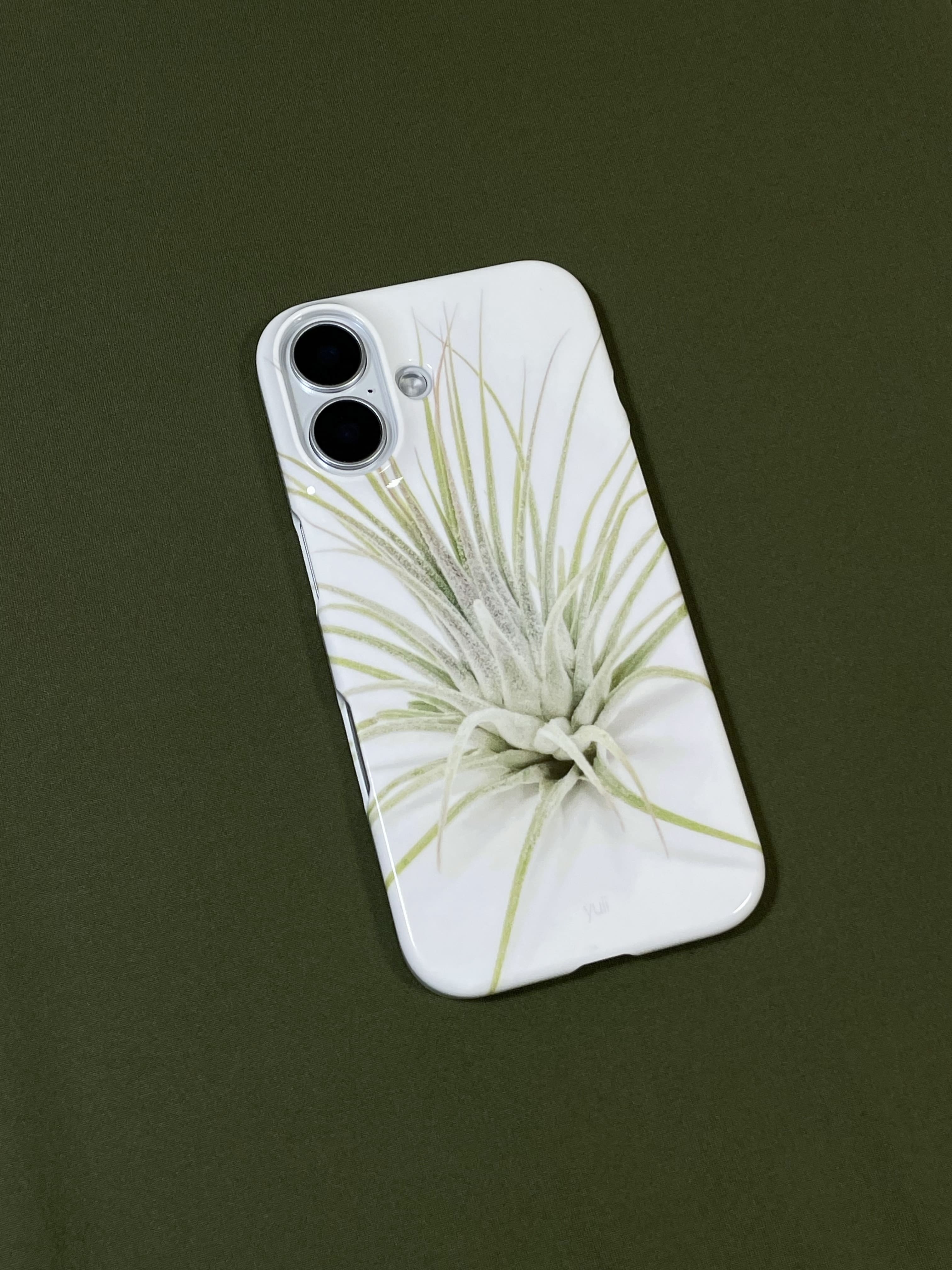 ionantha