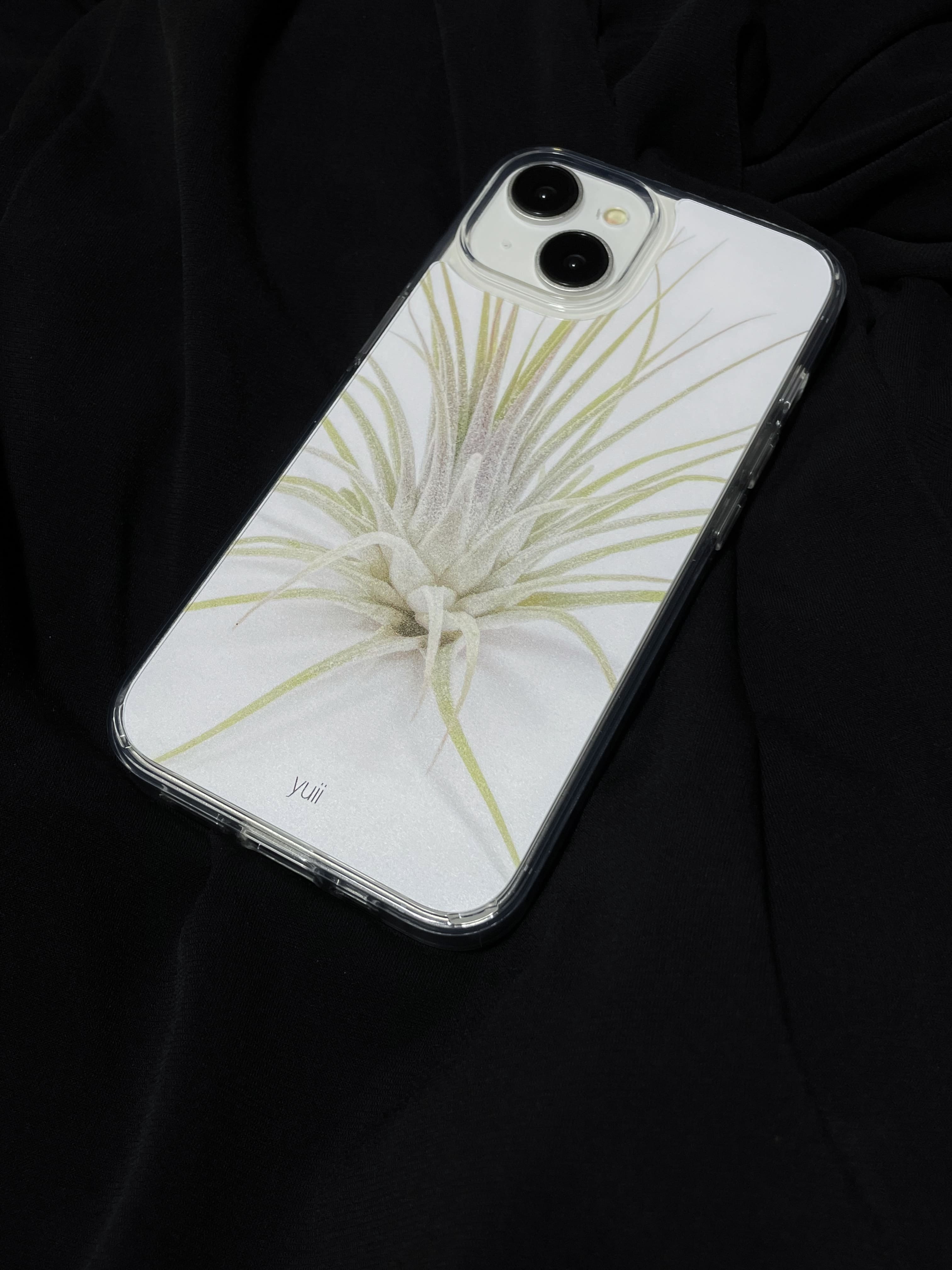 ionantha