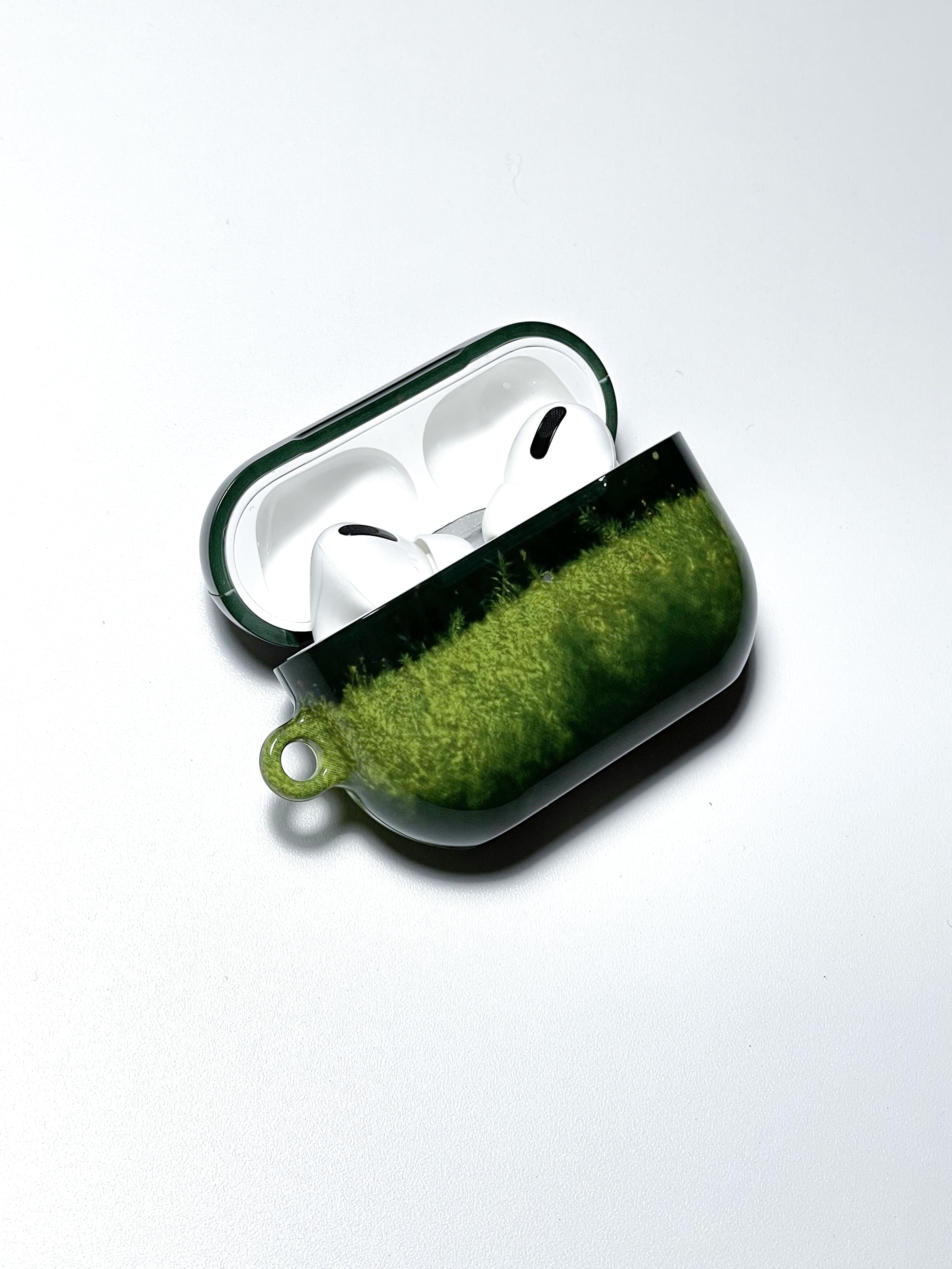 grassland