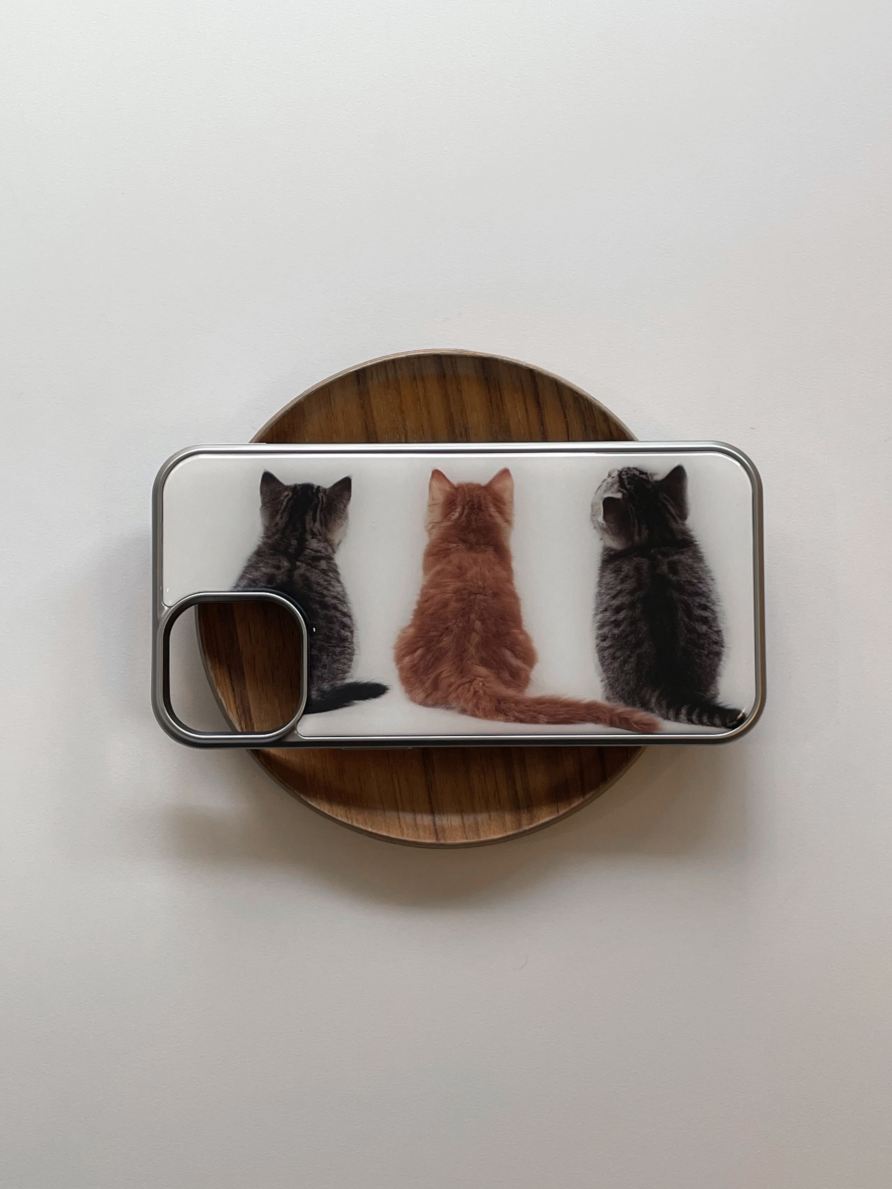 kitties