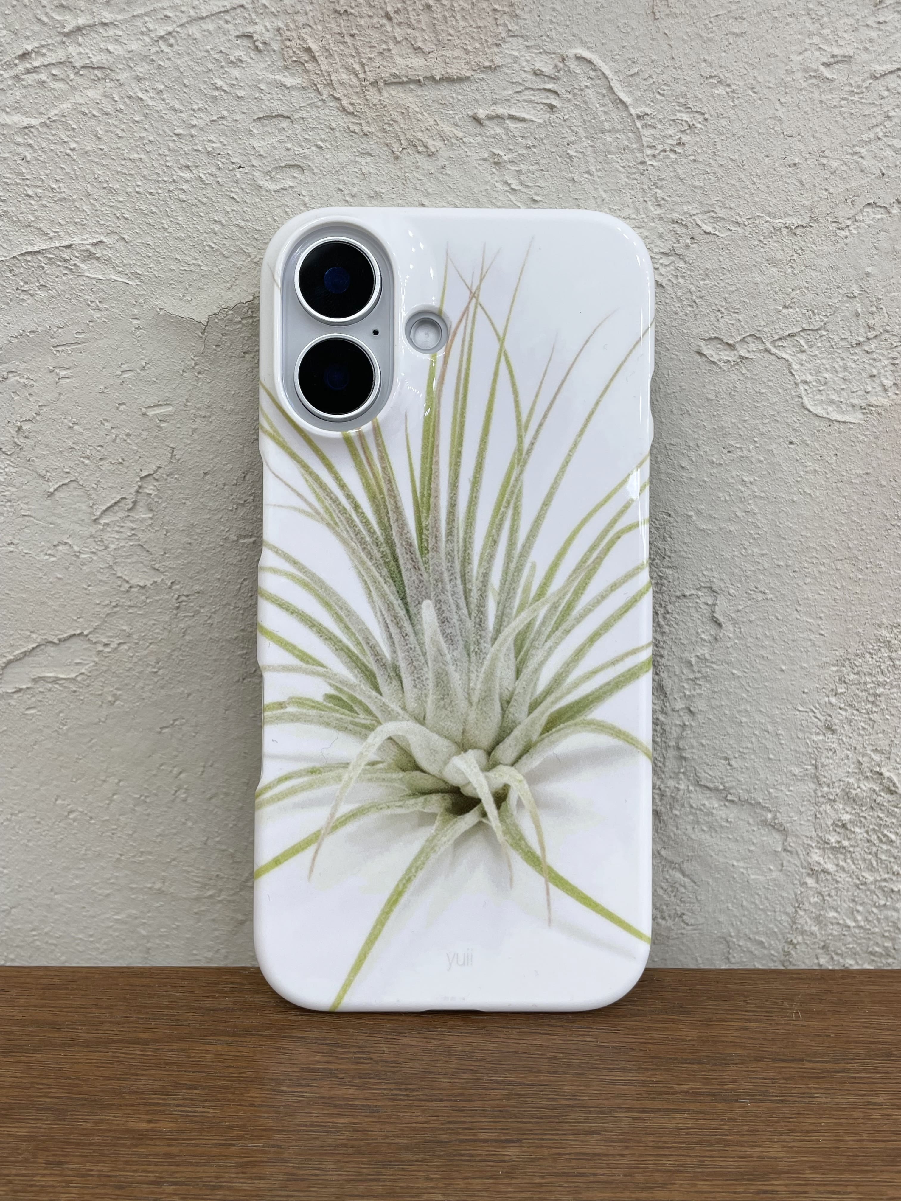 ionantha