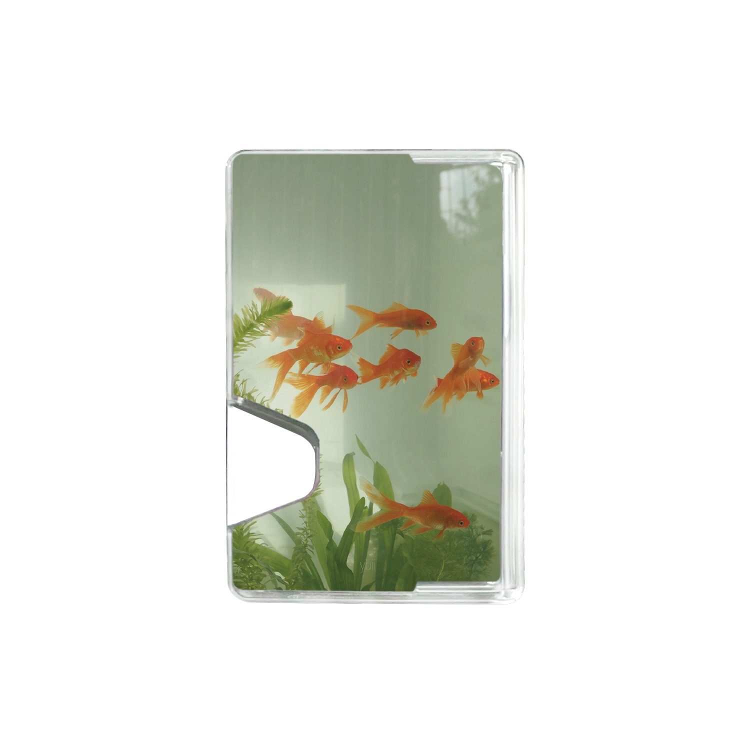 goldfish (magsafe wallet)