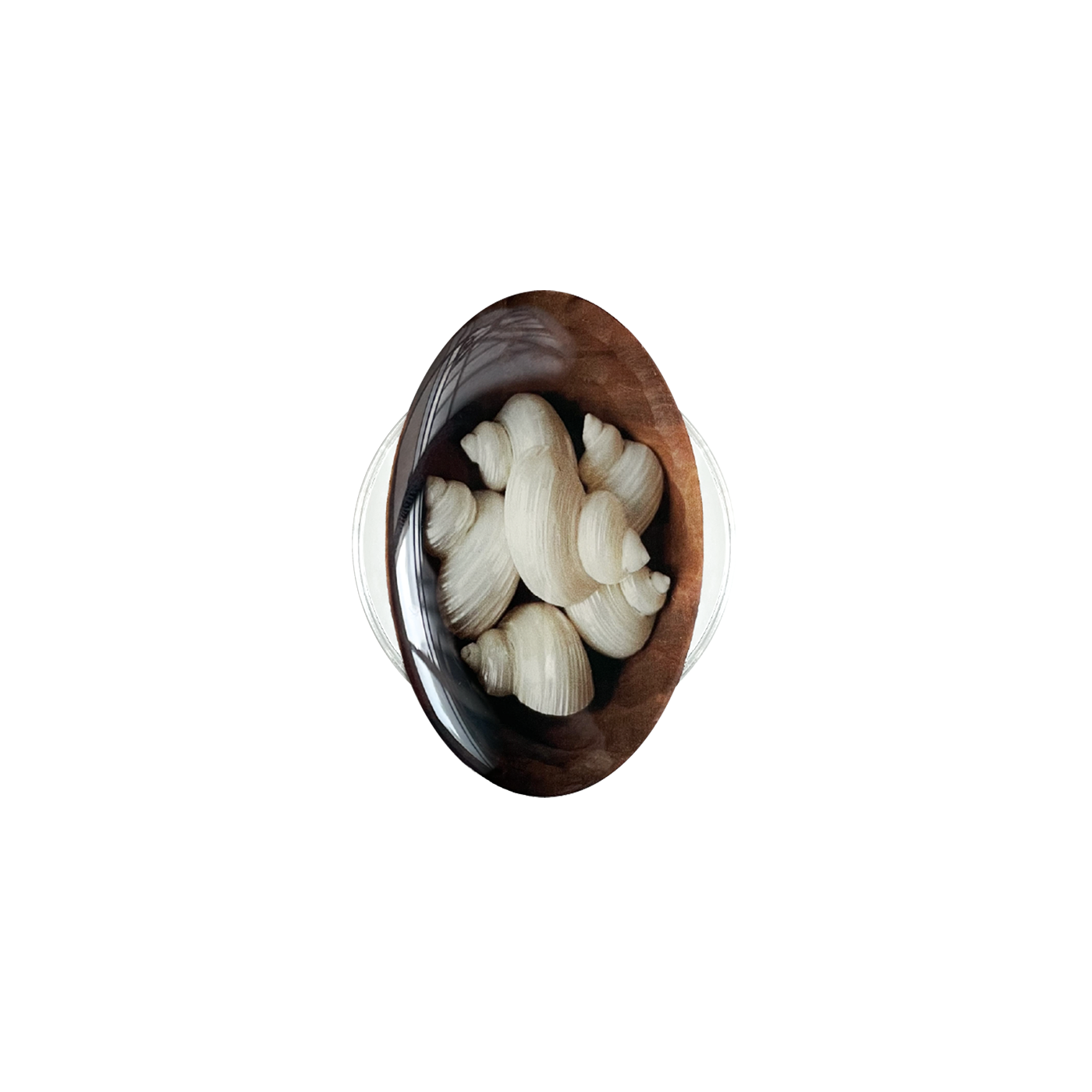 shells