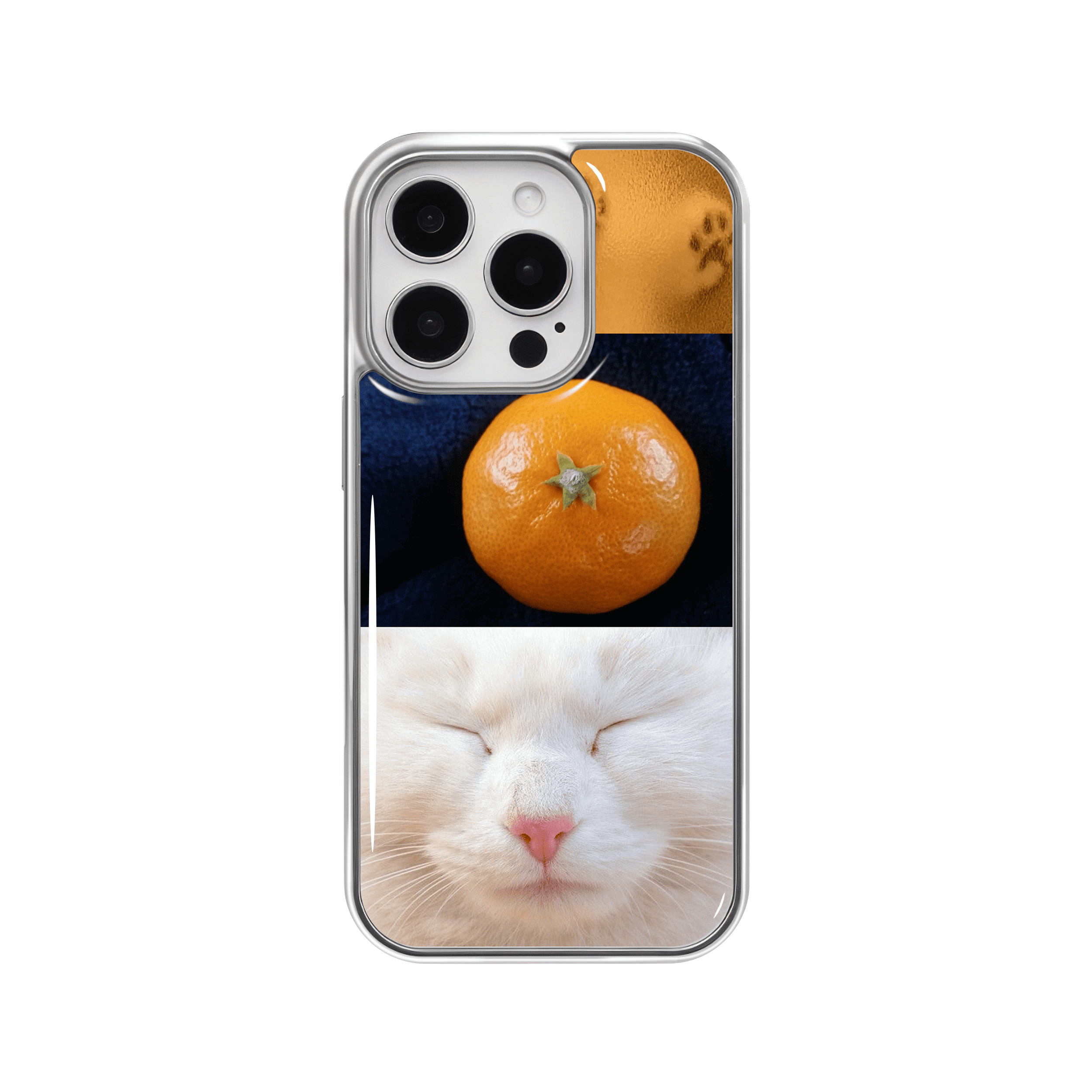 kitty & tangerine