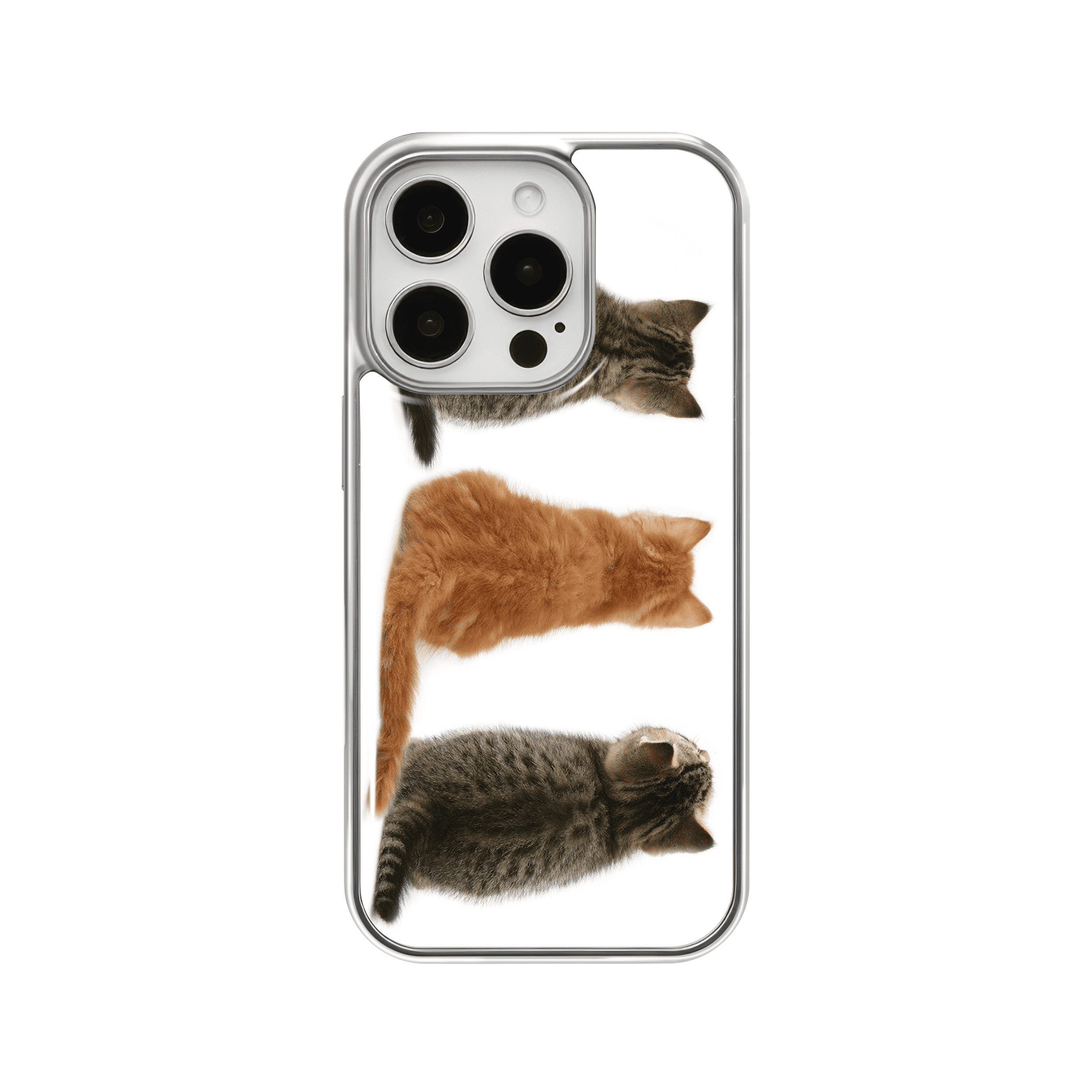 kitties