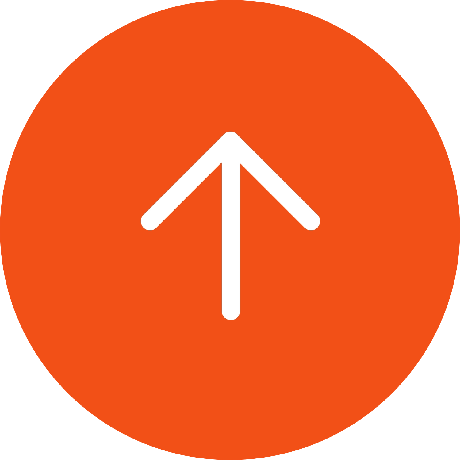 https://cdn.sixshop.io/sf-gateway/public/stores/mudscone/themes/image_1760601021534.webp