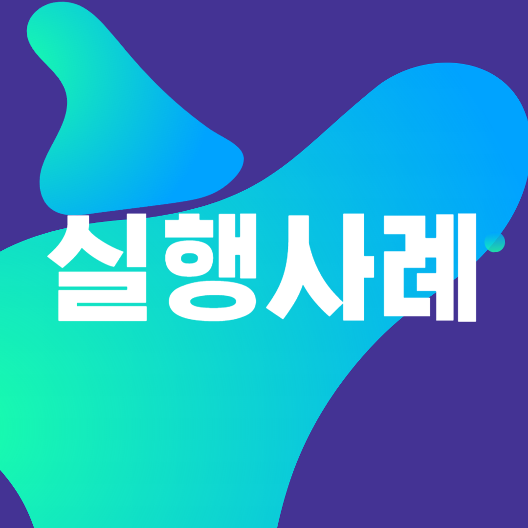 실행사례